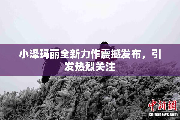 小泽玛丽全新力作震撼发布，引发热烈关注