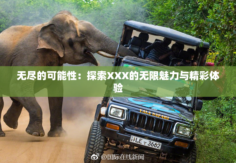 无尽的可能性：探索XXX的无限魅力与精彩体验