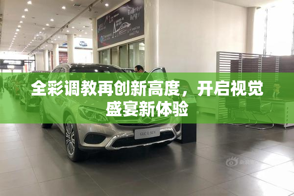 全彩调教再创新高度，开启视觉盛宴新体验