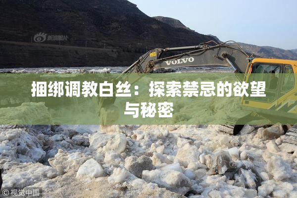 捆绑调教白丝：探索禁忌的欲望与秘密