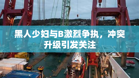 黑人少妇与B激烈争执，冲突升级引发关注