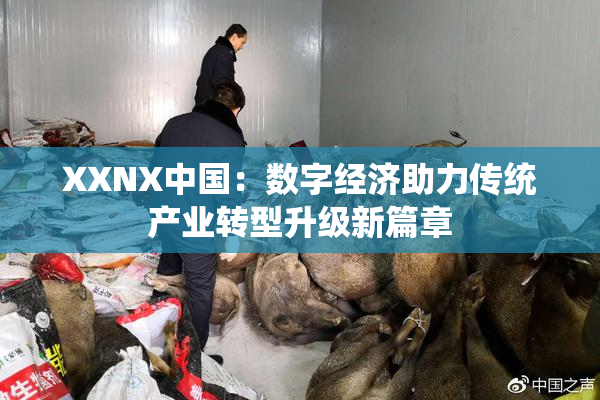 XXNX中国：数字经济助力传统产业转型升级新篇章