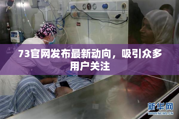 73官网发布最新动向，吸引众多用户关注