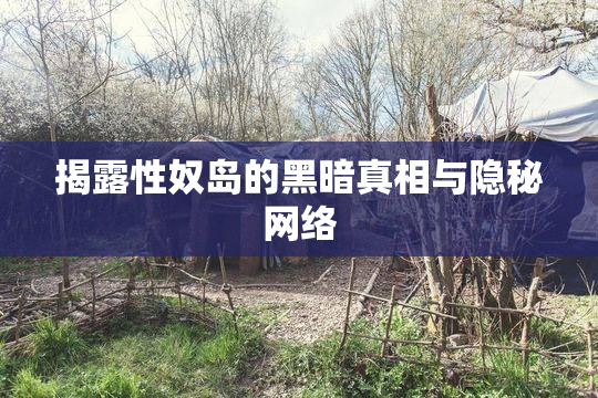 揭露性奴岛的黑暗真相与隐秘网络