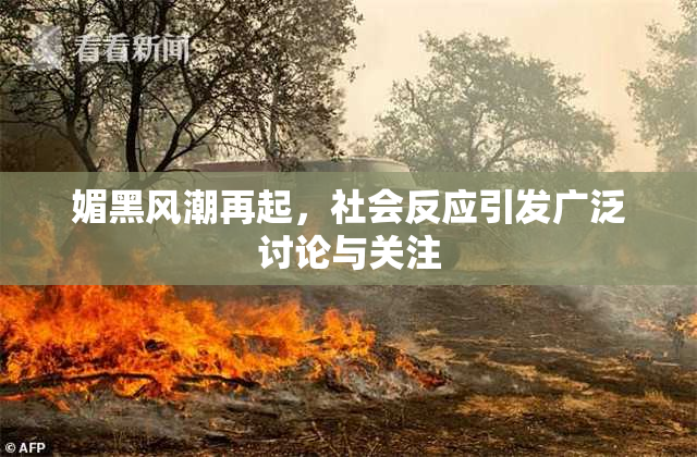 媚黑风潮再起，社会反应引发广泛讨论与关注