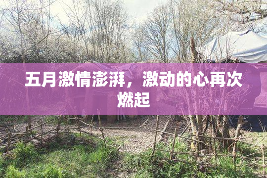 五月激情澎湃，激动的心再次燃起