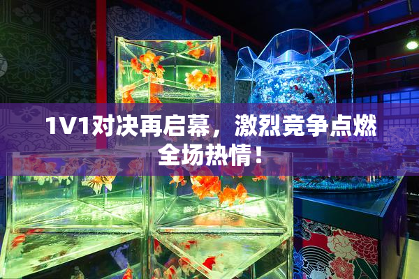 1V1对决再启幕，激烈竞争点燃全场热情！