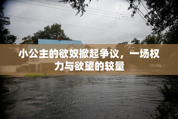 小公主的欲奴掀起争议，一场权力与欲望的较量