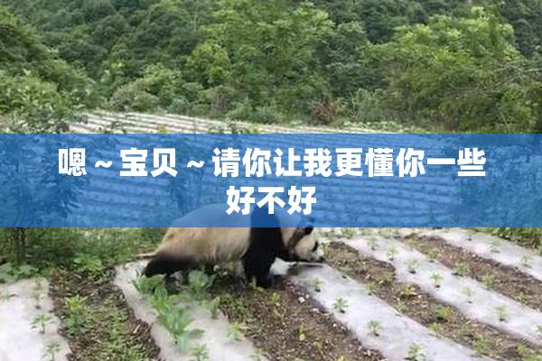 嗯～宝贝～请你让我更懂你一些好不好