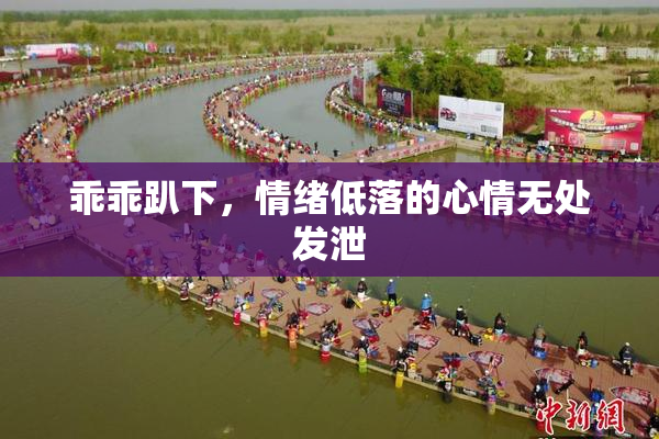 乖乖趴下，情绪低落的心情无处发泄