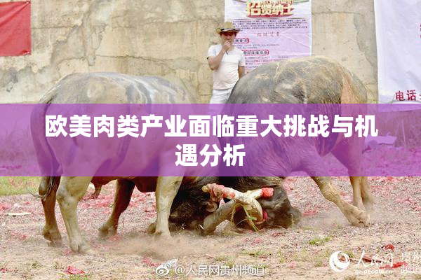 欧美肉类产业面临重大挑战与机遇分析