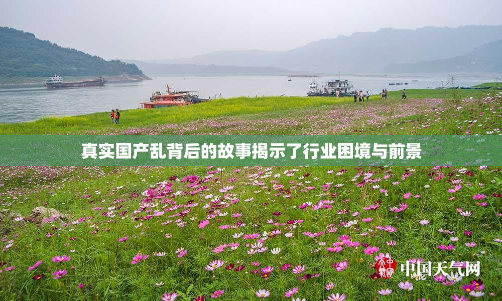 真实国产乱背后的故事揭示了行业困境与前景