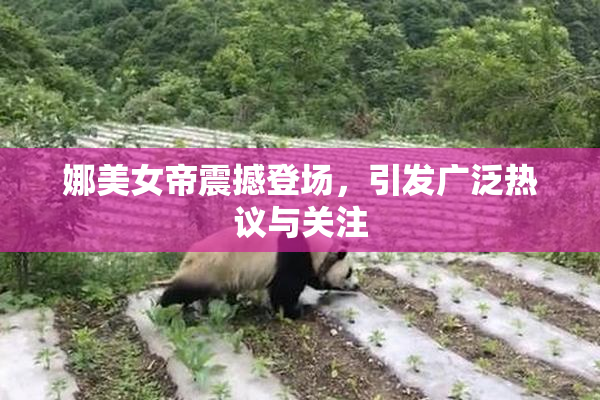 娜美女帝震撼登场，引发广泛热议与关注