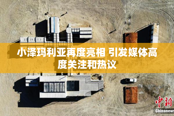 小泽玛利亚再度亮相 引发媒体高度关注和热议