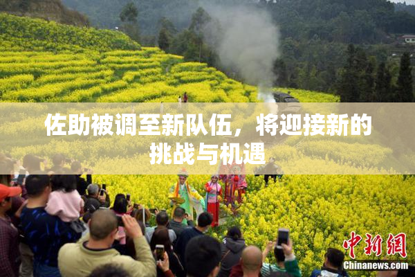 佐助被调至新队伍，将迎接新的挑战与机遇