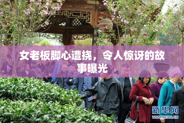 女老板脚心遭挠，令人惊讶的故事曝光