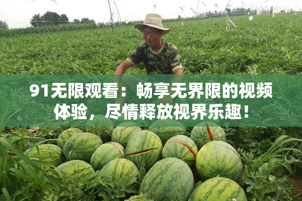 91无限观看：畅享无界限的视频体验，尽情释放视界乐趣！