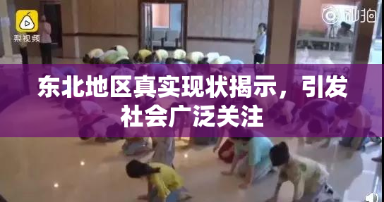 东北地区真实现状揭示，引发社会广泛关注