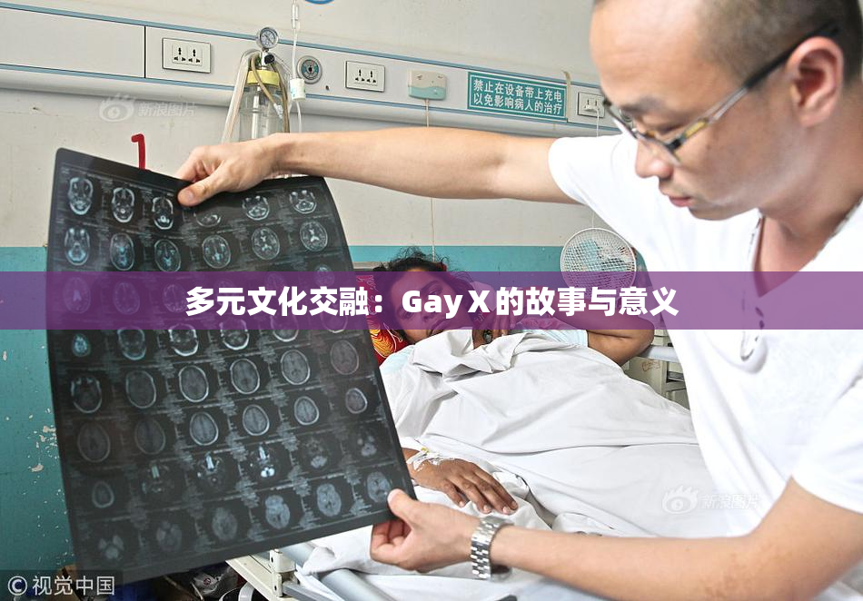 多元文化交融：GayⅩ的故事与意义
