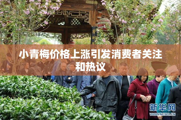 小青梅价格上涨引发消费者关注和热议