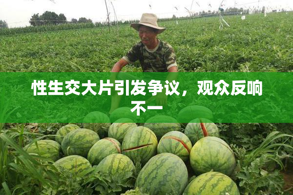性生交大片引发争议，观众反响不一