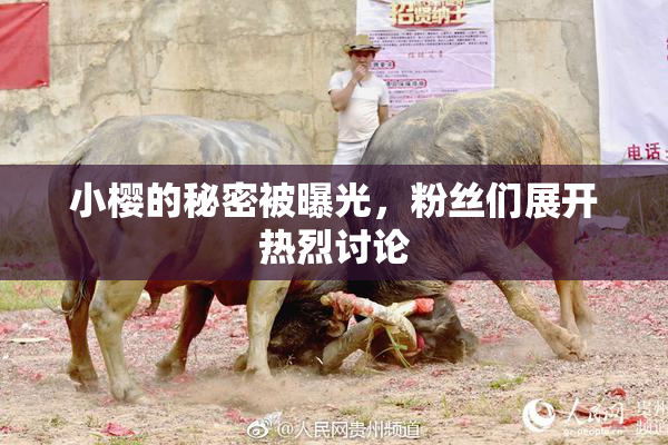 小樱的秘密被曝光，粉丝们展开热烈讨论