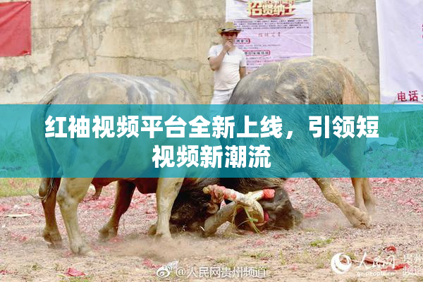 红袖视频平台全新上线，引领短视频新潮流