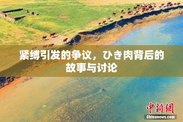 紧缚引发的争议，ひき肉背后的故事与讨论