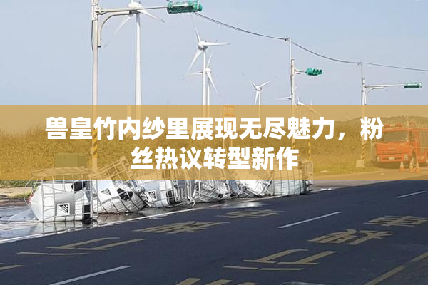 兽皇竹内纱里展现无尽魅力，粉丝热议转型新作
