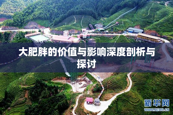 大肥胖的价值与影响深度剖析与探讨