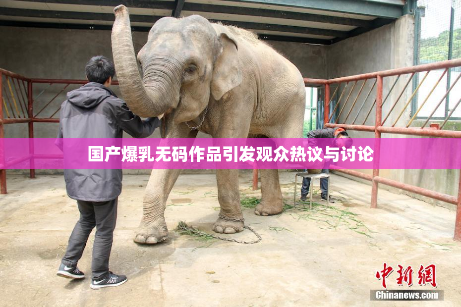 国产爆乳无码作品引发观众热议与讨论