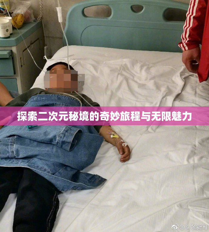 探索二次元秘境的奇妙旅程与无限魅力