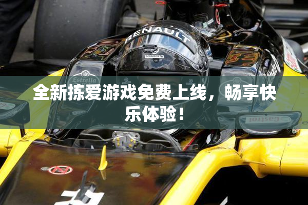 全新拣爱游戏免费上线，畅享快乐体验！