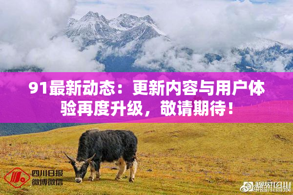 91最新动态：更新内容与用户体验再度升级，敬请期待！