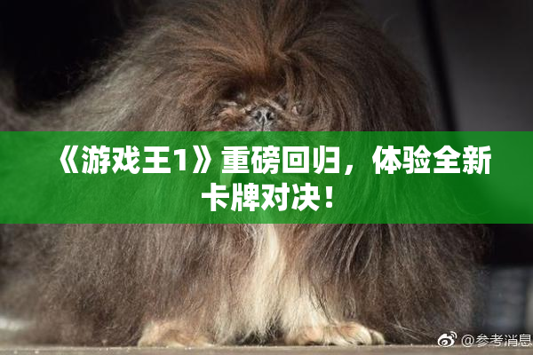 《游戏王1》重磅回归，体验全新卡牌对决！