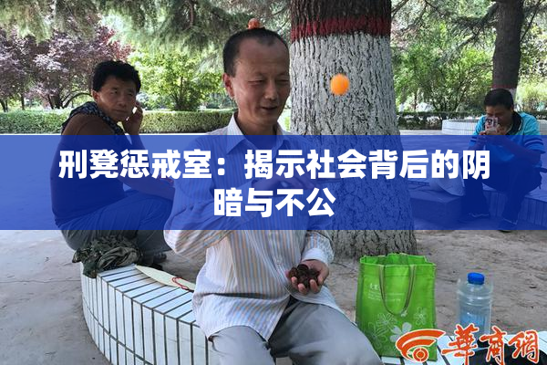 刑凳惩戒室：揭示社会背后的阴暗与不公