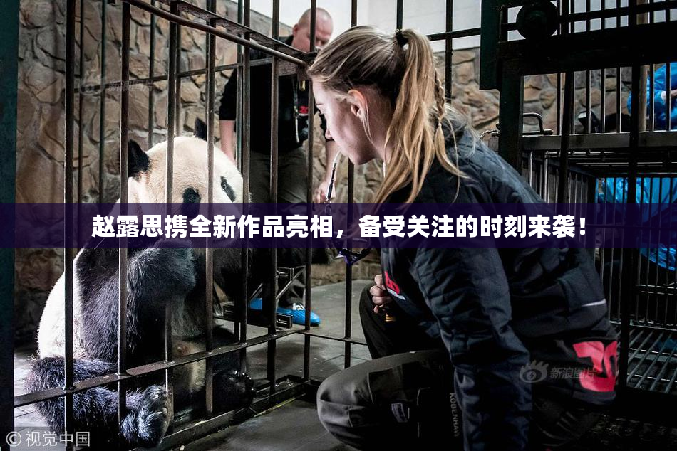 赵露思携全新作品亮相，备受关注的时刻来袭！