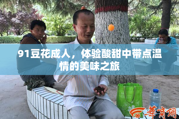 91豆花成人，体验酸甜中带点温情的美味之旅