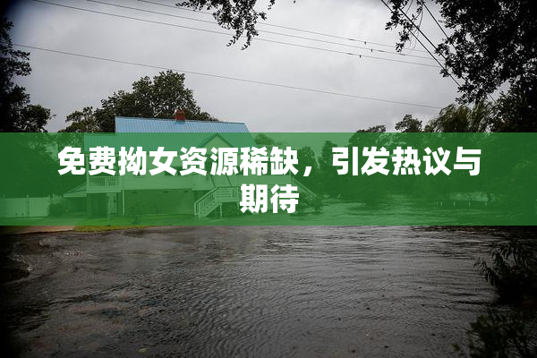 免费拗女资源稀缺，引发热议与期待
