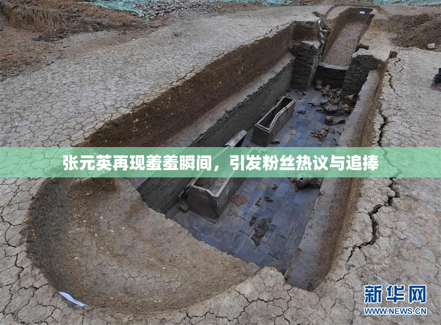 张元英再现羞羞瞬间，引发粉丝热议与追捧
