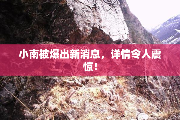 小南被爆出新消息，详情令人震惊！