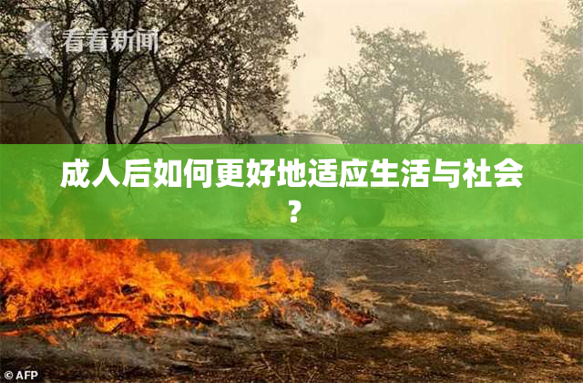 成人后如何更好地适应生活与社会？