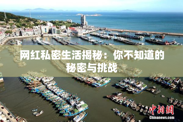 网红私密生活揭秘：你不知道的秘密与挑战