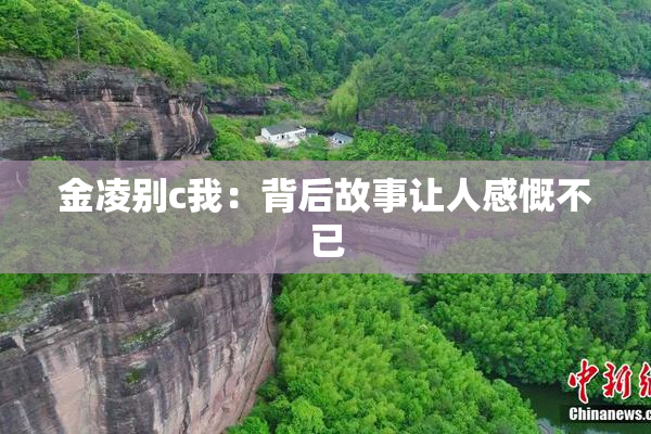 金凌别c我：背后故事让人感慨不已