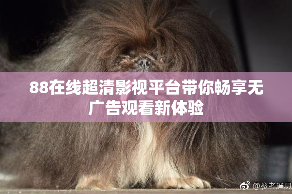 88在线超清影视平台带你畅享无广告观看新体验