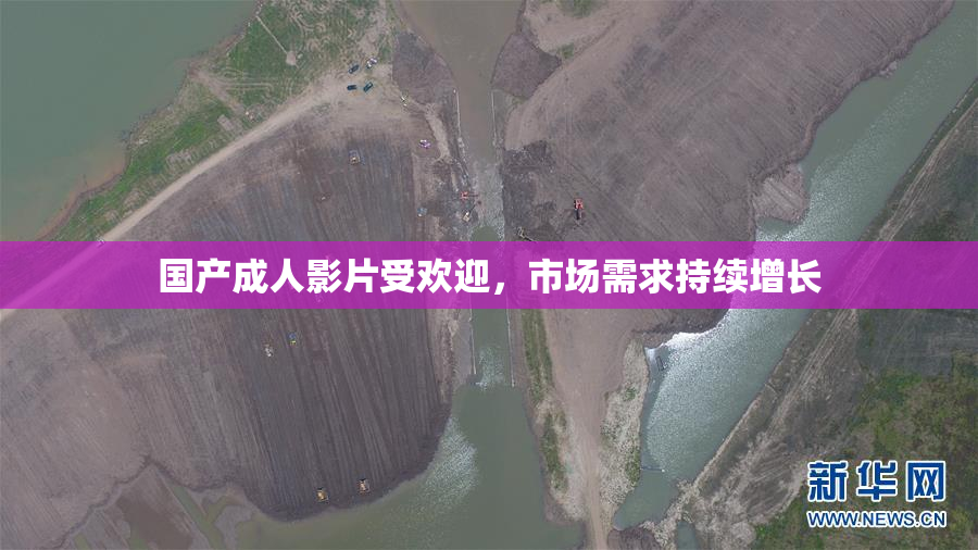 国产成人影片受欢迎，市场需求持续增长