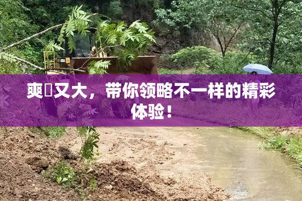 爽擼又大，带你领略不一样的精彩体验！