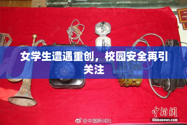 女学生遭遇重创，校园安全再引关注