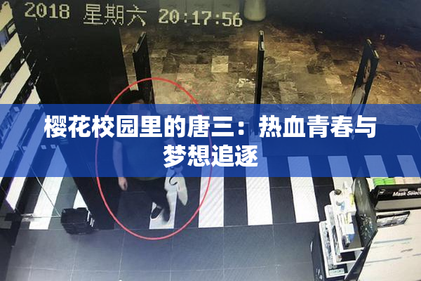 樱花校园里的唐三：热血青春与梦想追逐