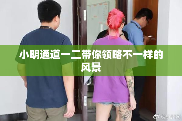 小明通道一二带你领略不一样的风景